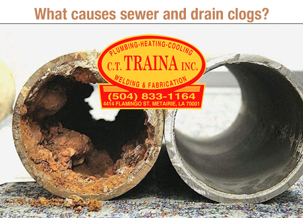 Common Causes of Clogged Drains — and How Professional Drain
